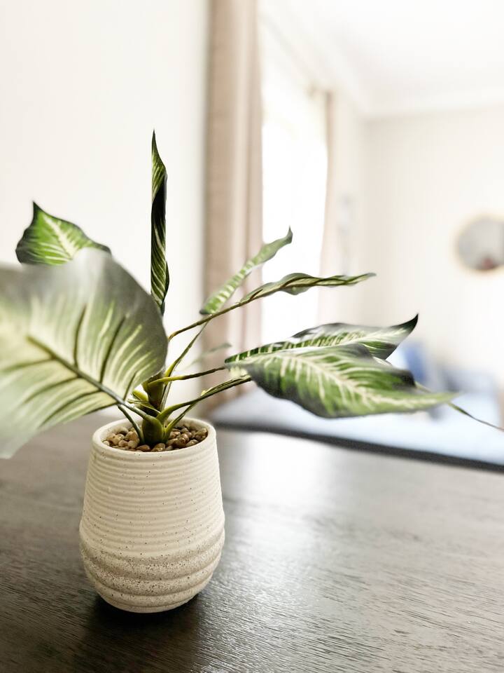 Spring Street Suites D | QUEEN 3BD/1BA Stylish Apt