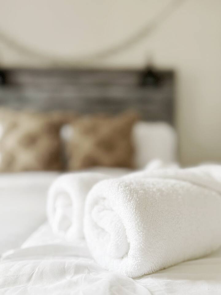 Spring Street Suites D | QUEEN 3BD/1BA Stylish Apt