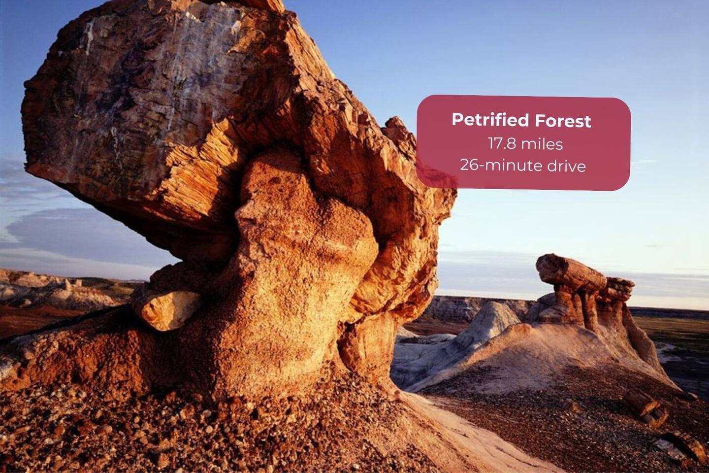 Explore ancient wonders at the Petrified Forest, a natural marvel featuring preserved trees dating back over 3 million years. This peaceful retreat offers scenic trails and a glimpse into Earth's prehistoric past.
