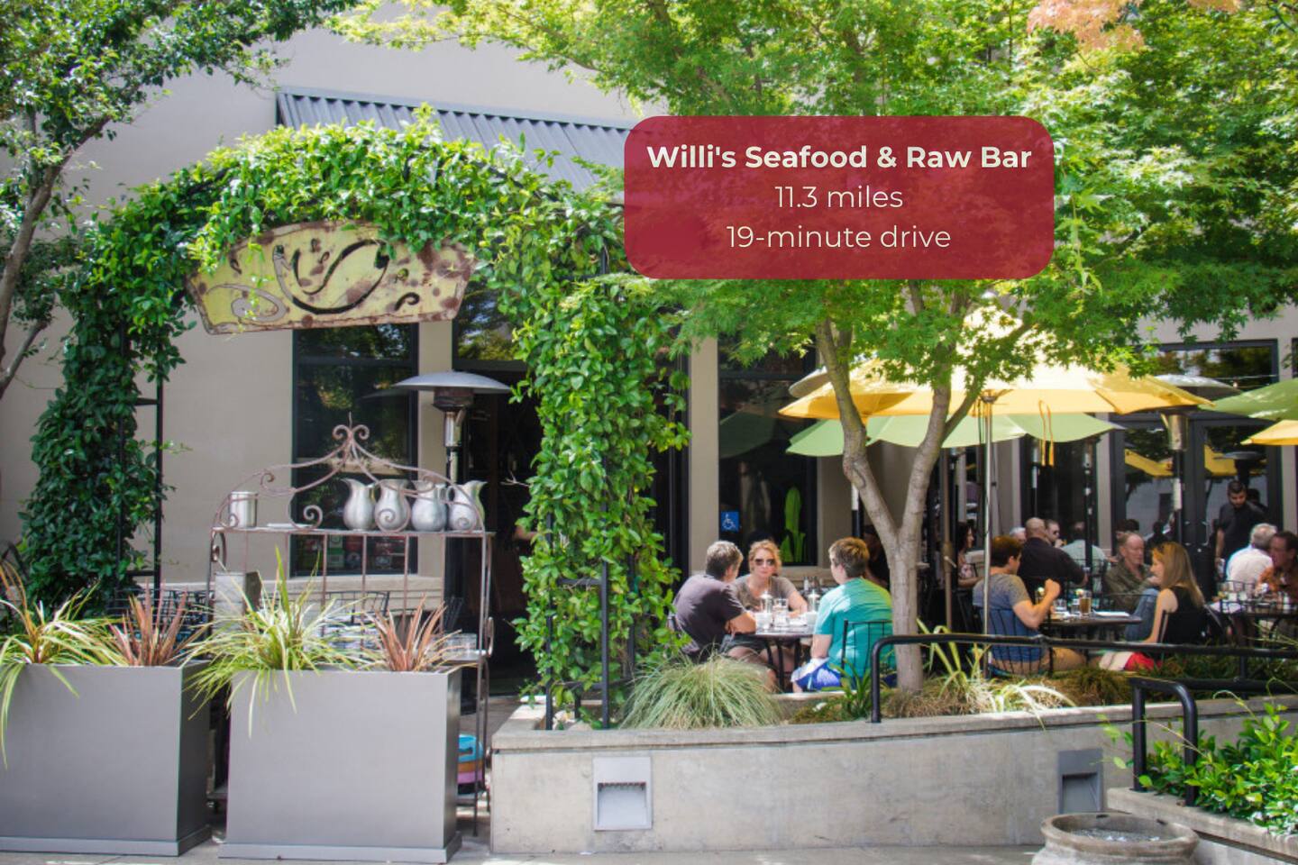Savor fresh seafood and coastal flavors at Willi's Seafood & Raw Bar, a Healdsburg gem for raw bar lovers!