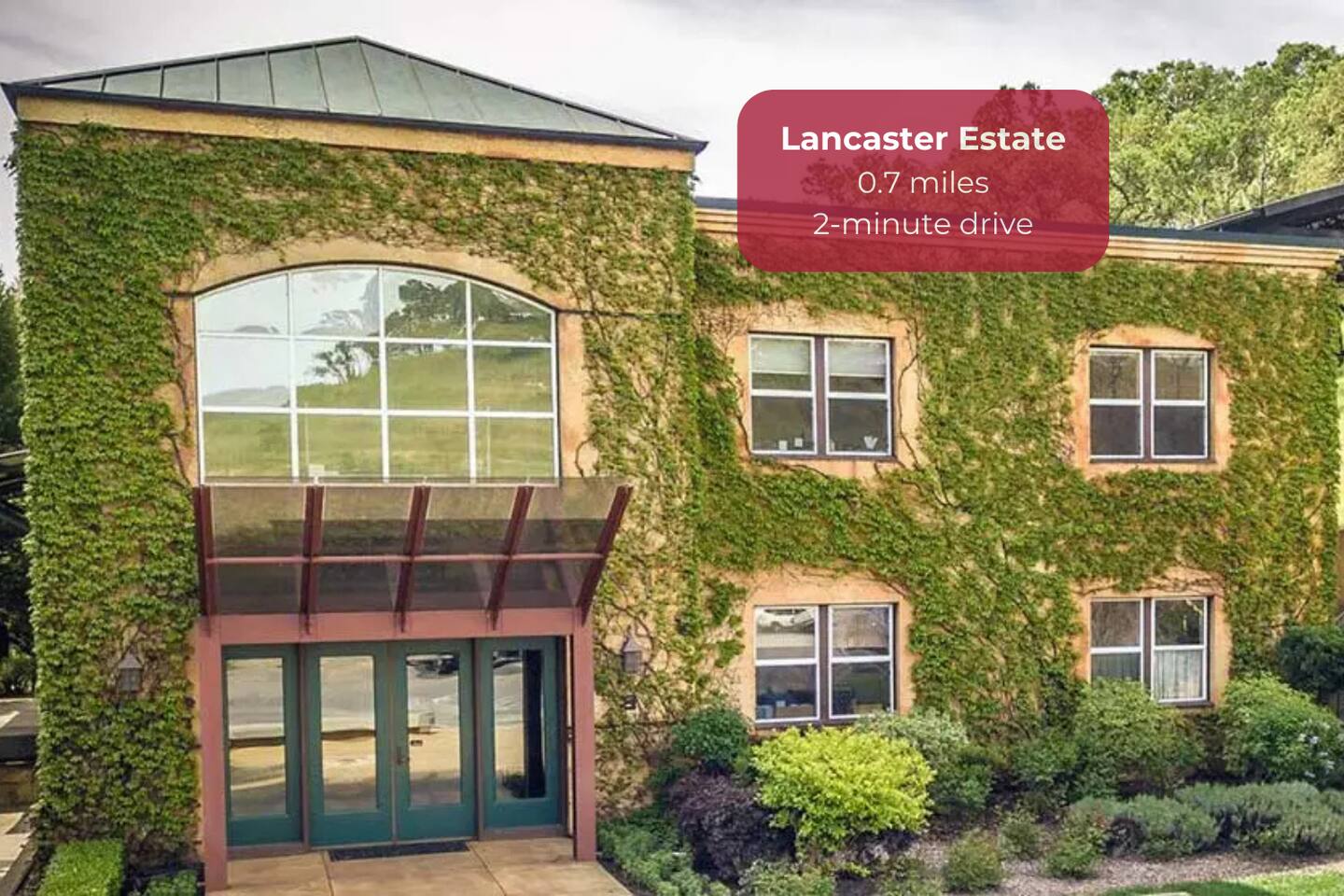 Escape to the serene Lancaster Estate for boutique wines and stunning vineyard landscapes.