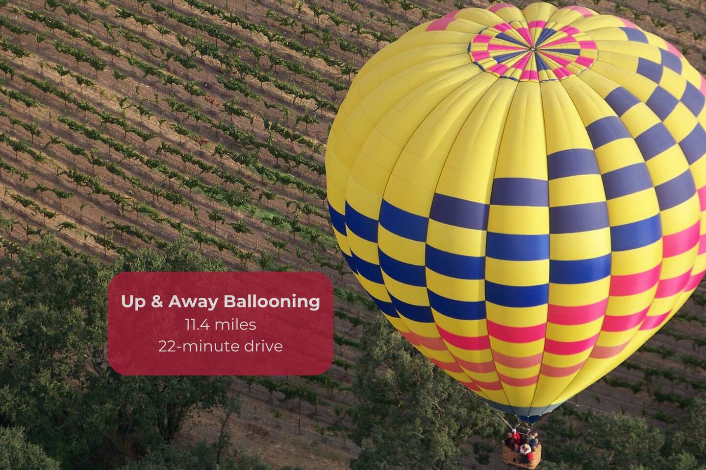 Take to the skies with Up & Away Ballooning for breathtaking views of Sonoma’s vineyards at sunrise.