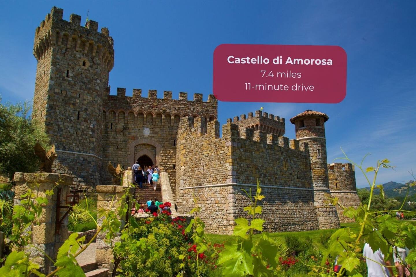 Step into a medieval-inspired Tuscan castle at Castello di Amorosa, where fine wines meet stunning architecture. This unique destination offers tours, tastings, and unforgettable photo opportunities in its grand halls and underground cellars.