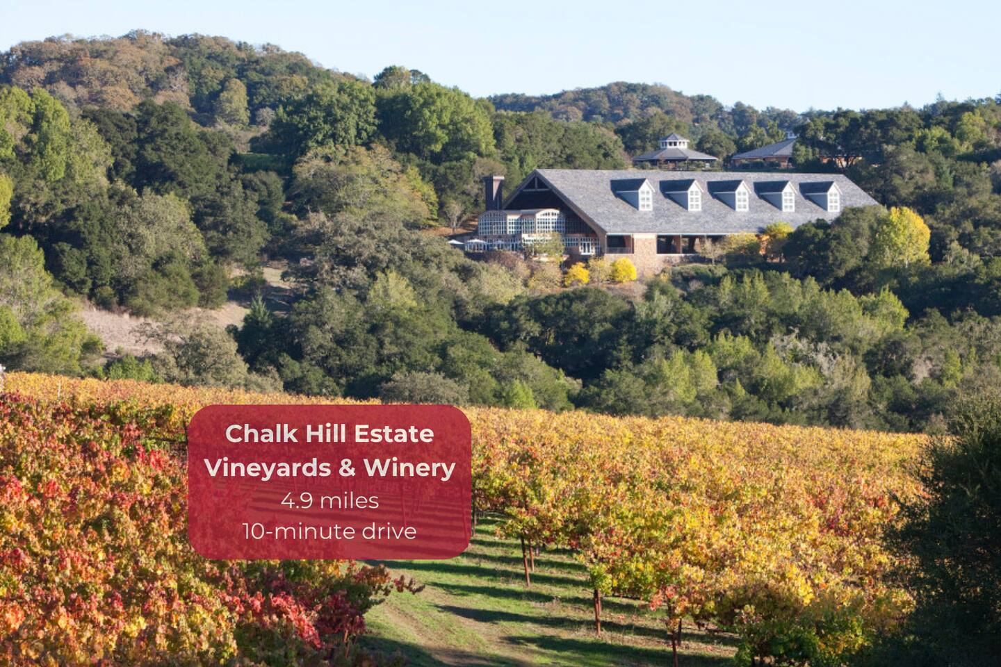 Enjoy luxury and history with award-winning wines at Chalk Hill Estate Vineyards & Winery.
