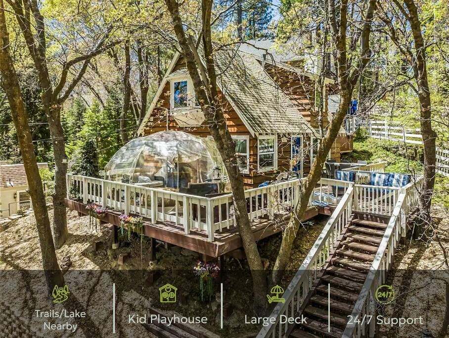 Tree House | Unique Bubble | Views | Games | Fun