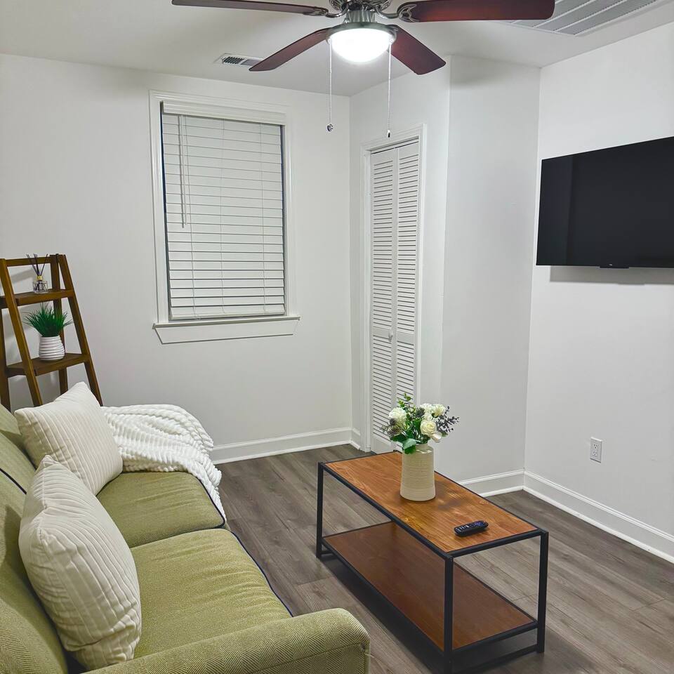 New Apartment Walk to Superdome & Near Canal St