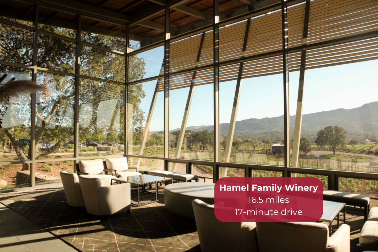 Taste small-lot wines in a stunning, family-owned vineyard.