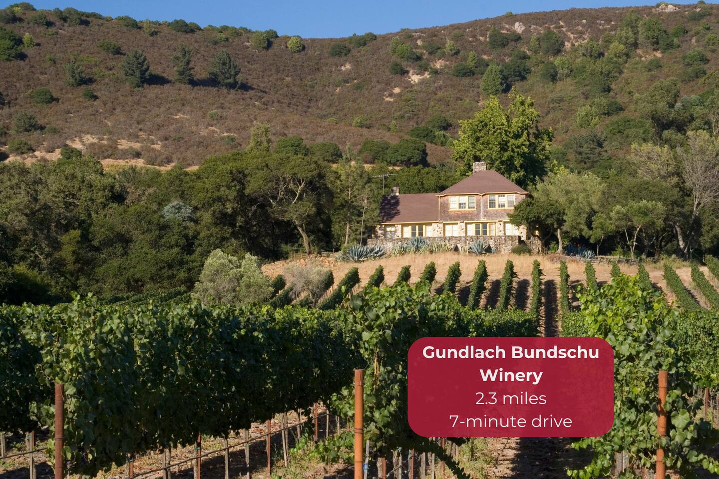 Explore historic wines with a rich legacy and stunning views.