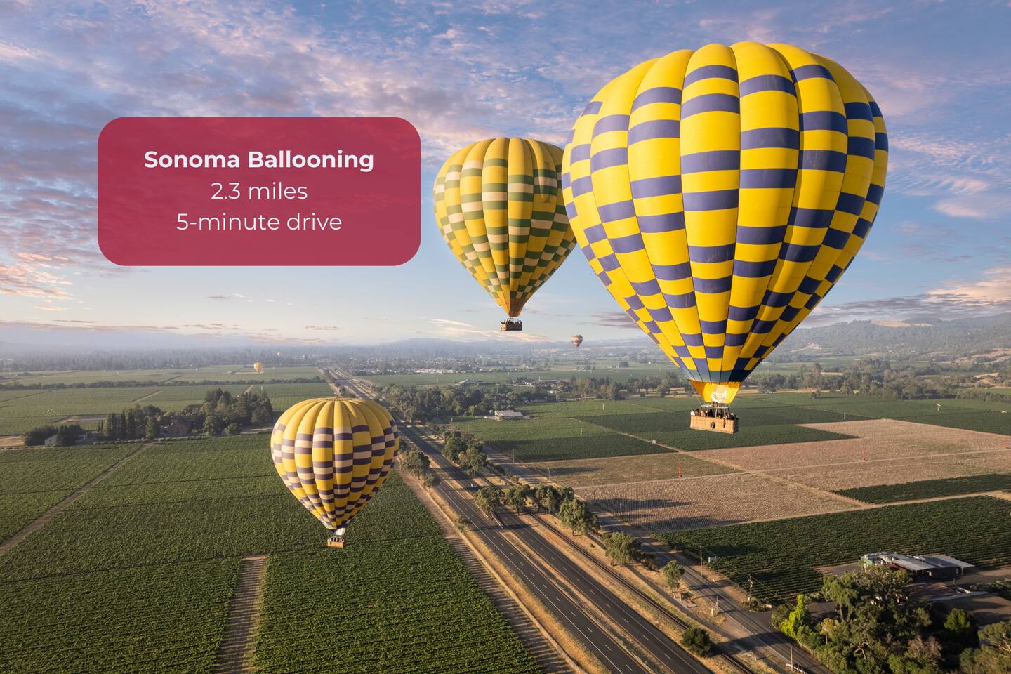 Soar above Sonoma’s vineyards for unforgettable views.