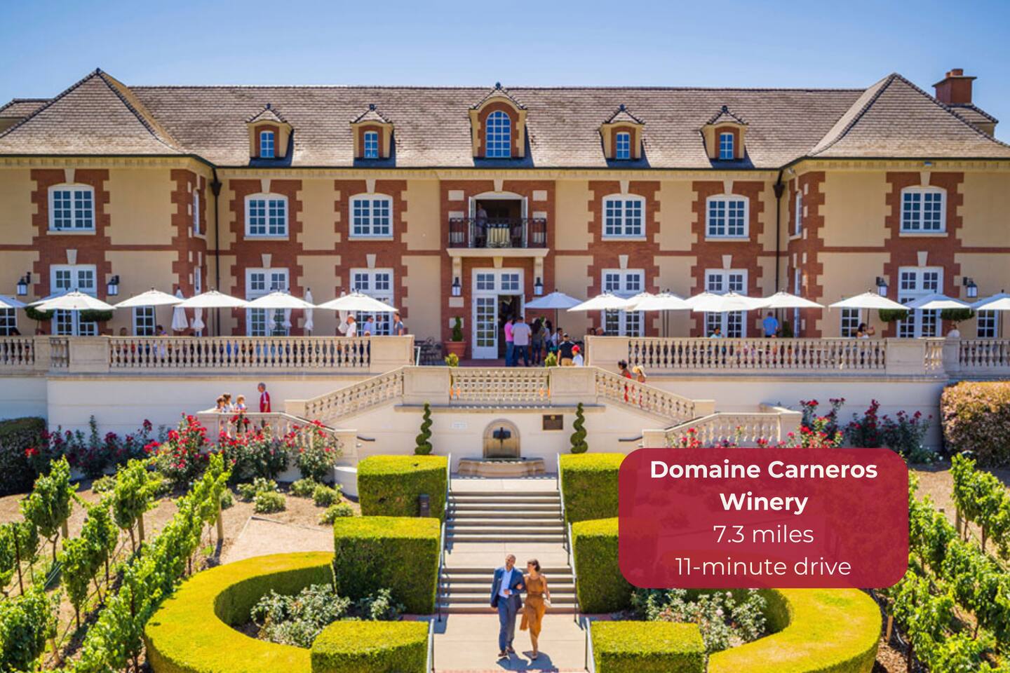 Enjoy world-class wines with panoramic vineyard vistas.