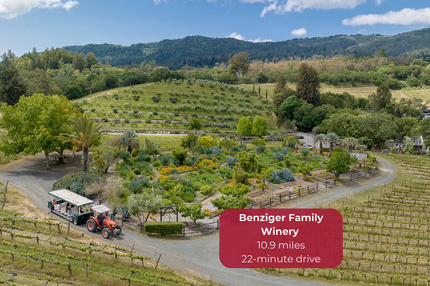 A perfect blend of nature and craft at Benziger Family Winery.