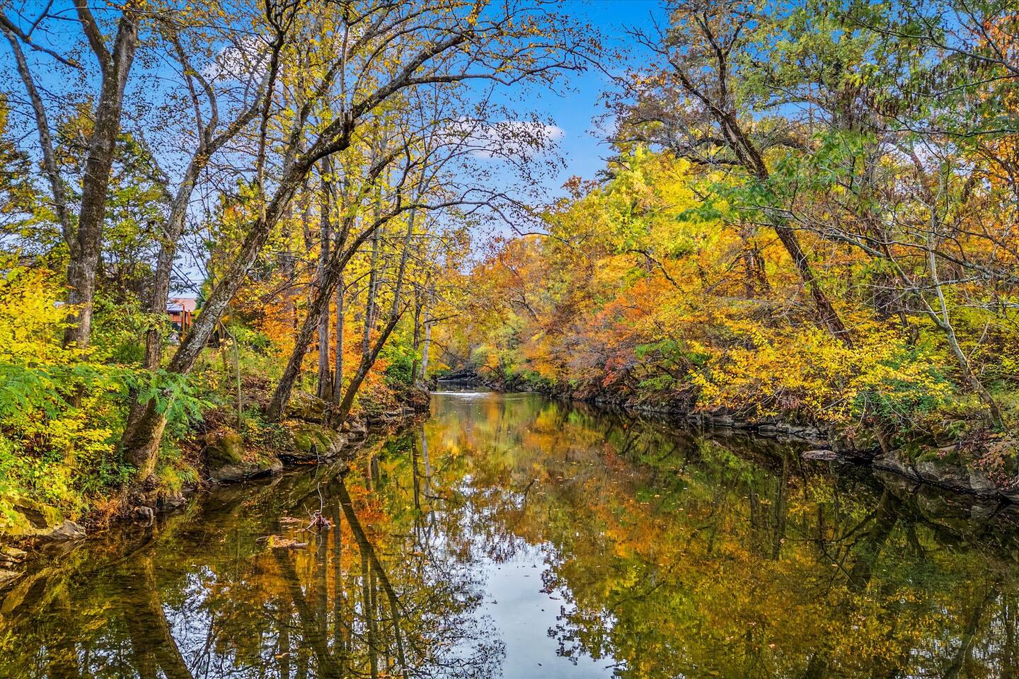 Calm, tree-lined stretch of the Little Pigeon River in fall color