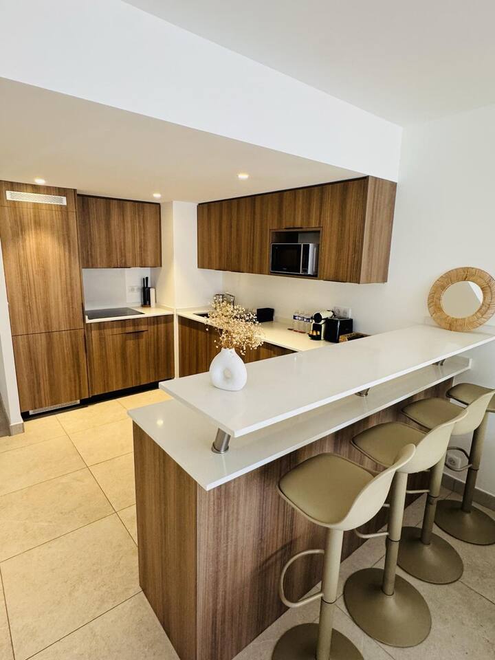 Ensemble 3 appartements Cannes Terrasse & Parking