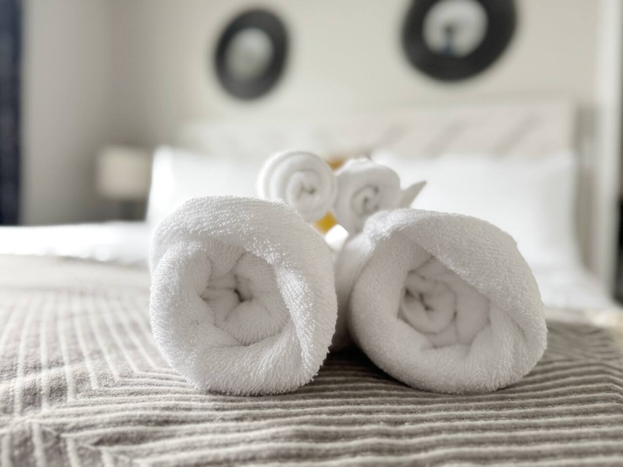 RiverStone A | KING 1BD/1BA Apt in Newburgh