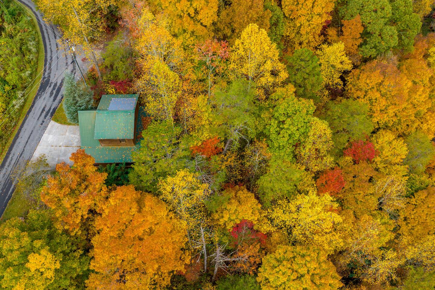 Pet Friendly Mountain View Cabin with Hot Tub