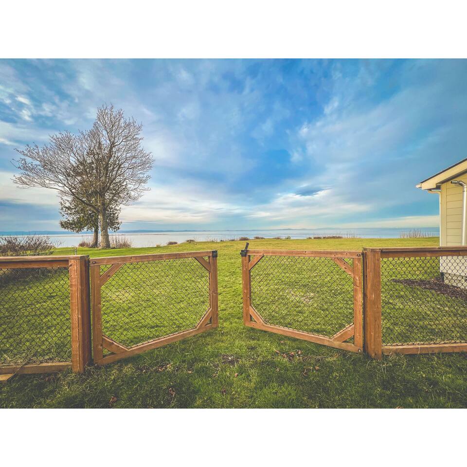 Salish Sea Vista (Our Point of View)