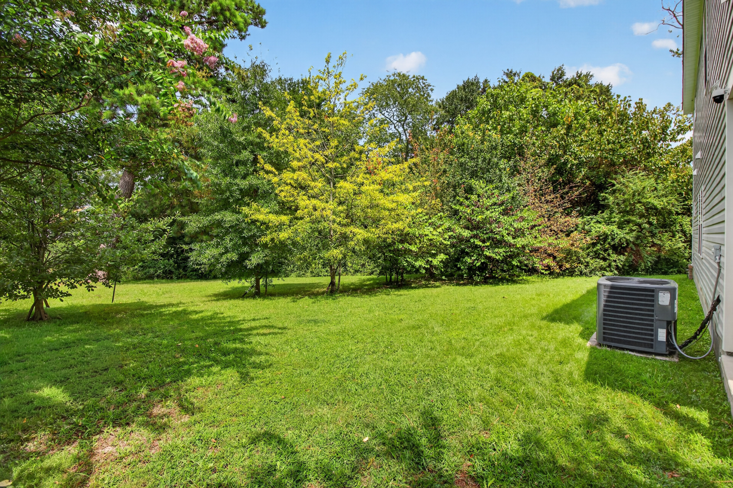 Spacious private backyard with lush trees and room to relax