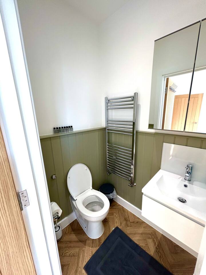 Clean and stylish bathroom on Wilton Road, Greater London, close to Notting Hill, Acton, and Ealing. Includes a toilet, floating sink, heated towel rail, wide mirror, and green accent walls with wood flooring