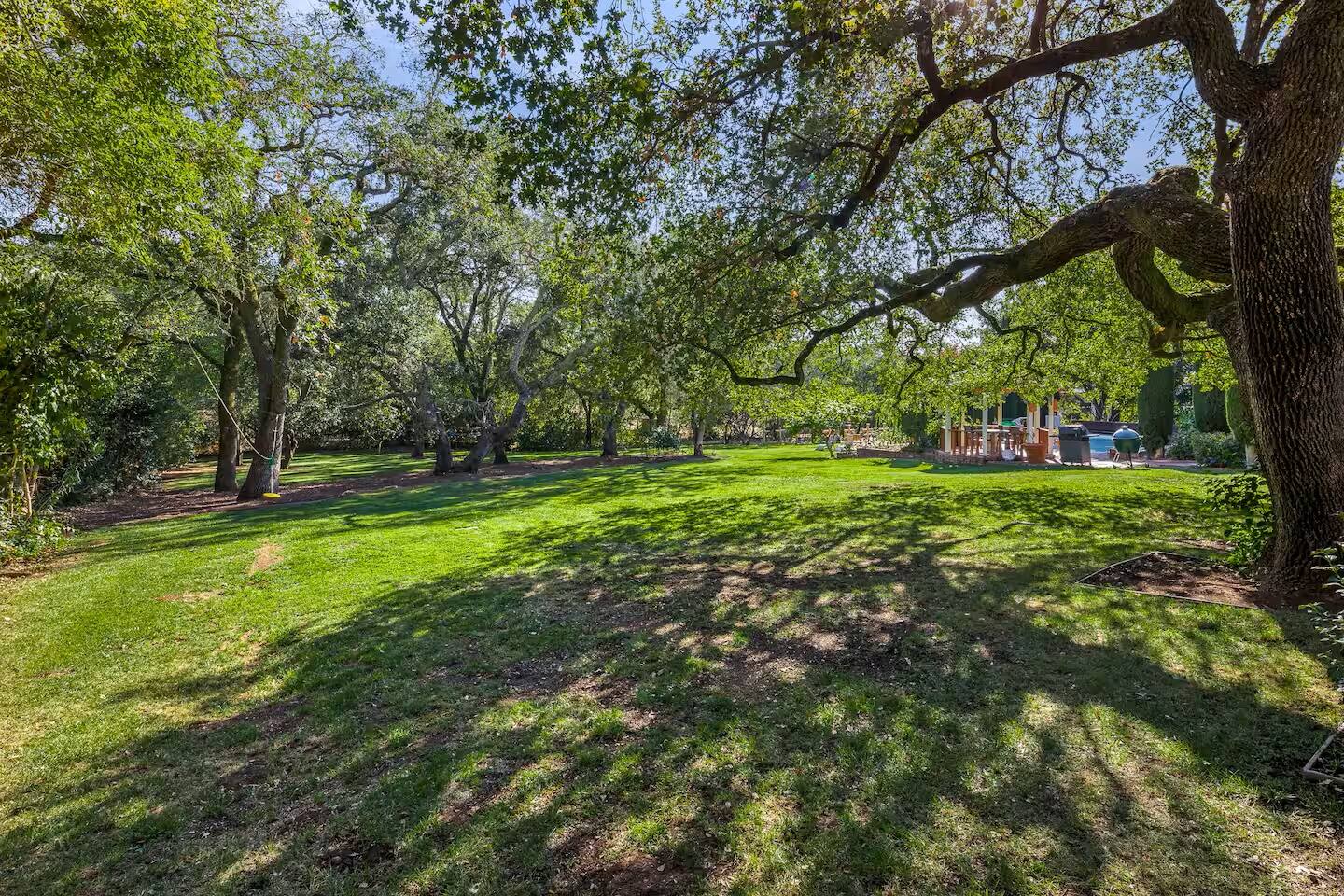 Shady escape! A stunning outdoor space with towering trees, perfect for strolls and picnics.