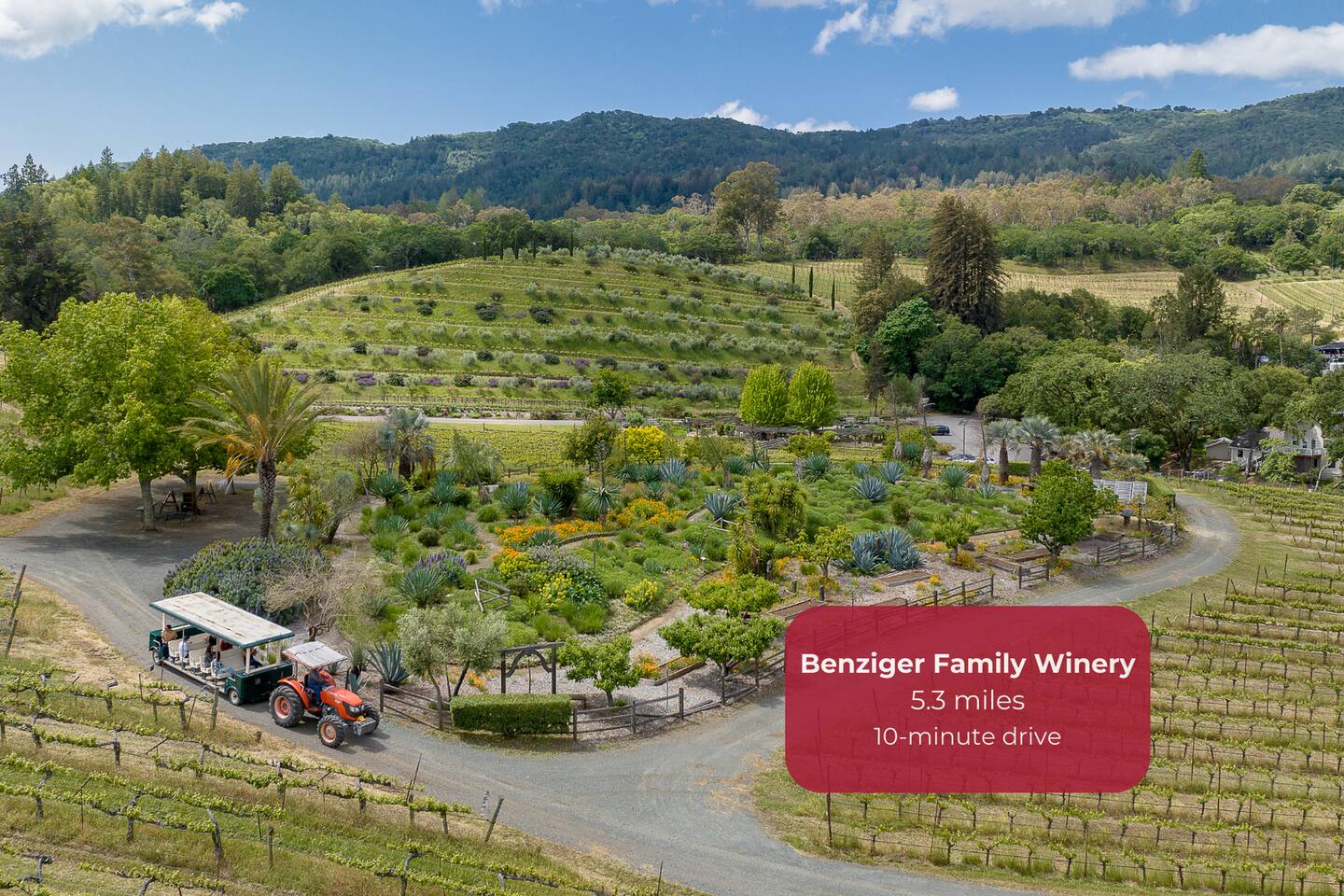 Explore the estate on a fun and informative tram tour.