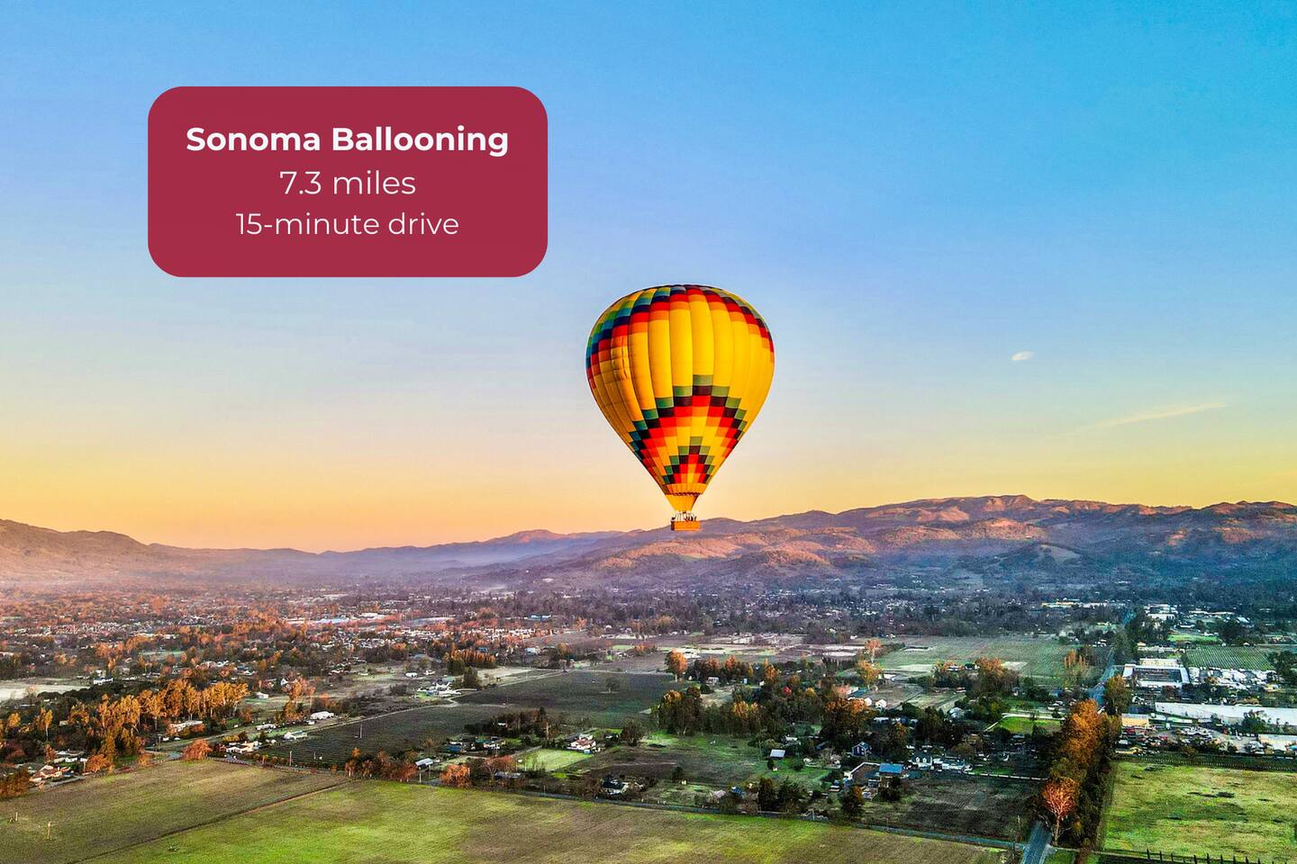 Soar above Sonoma’s vineyards at sunrise. 