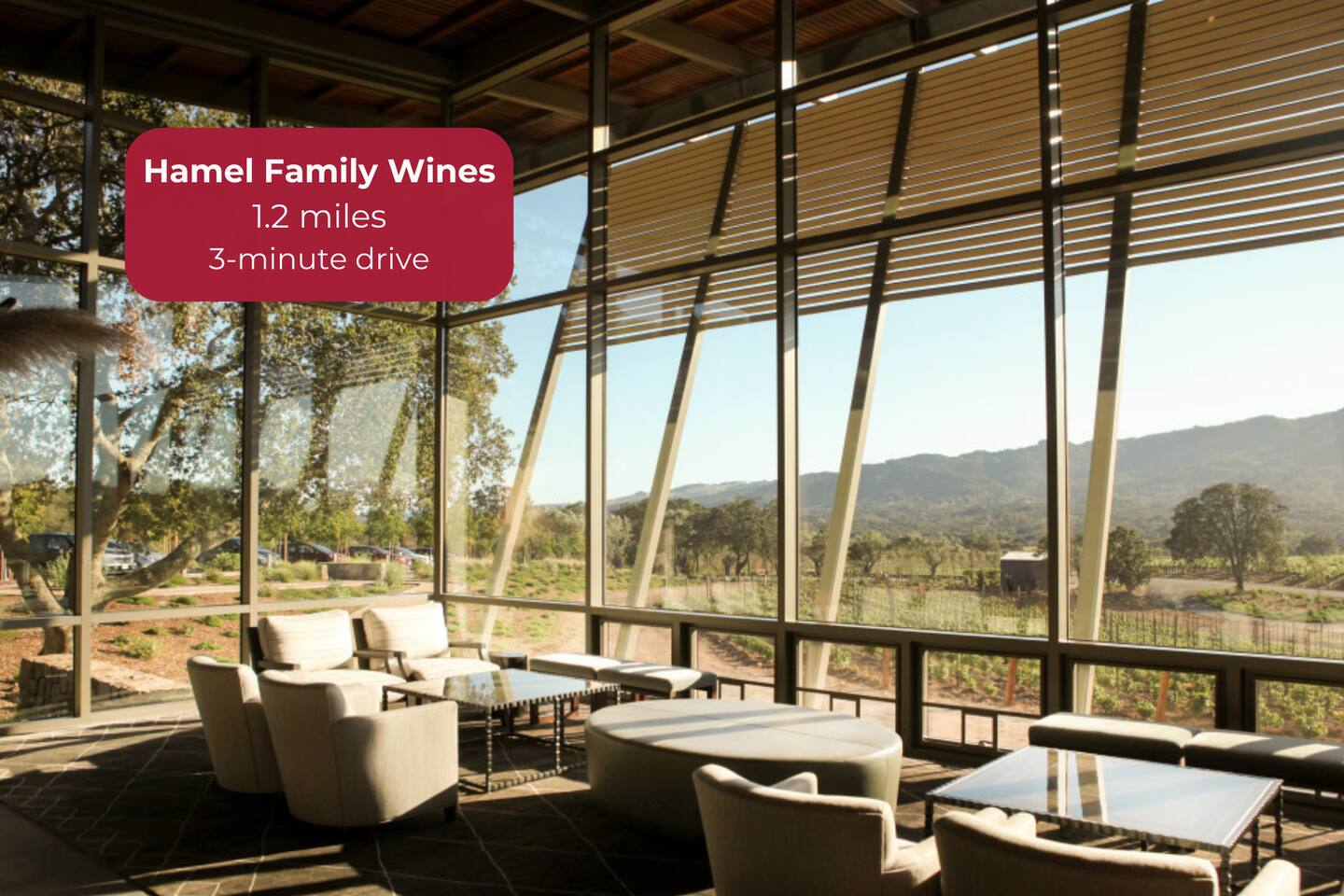 Organic, biodynamic wines with stunning vineyard views. 