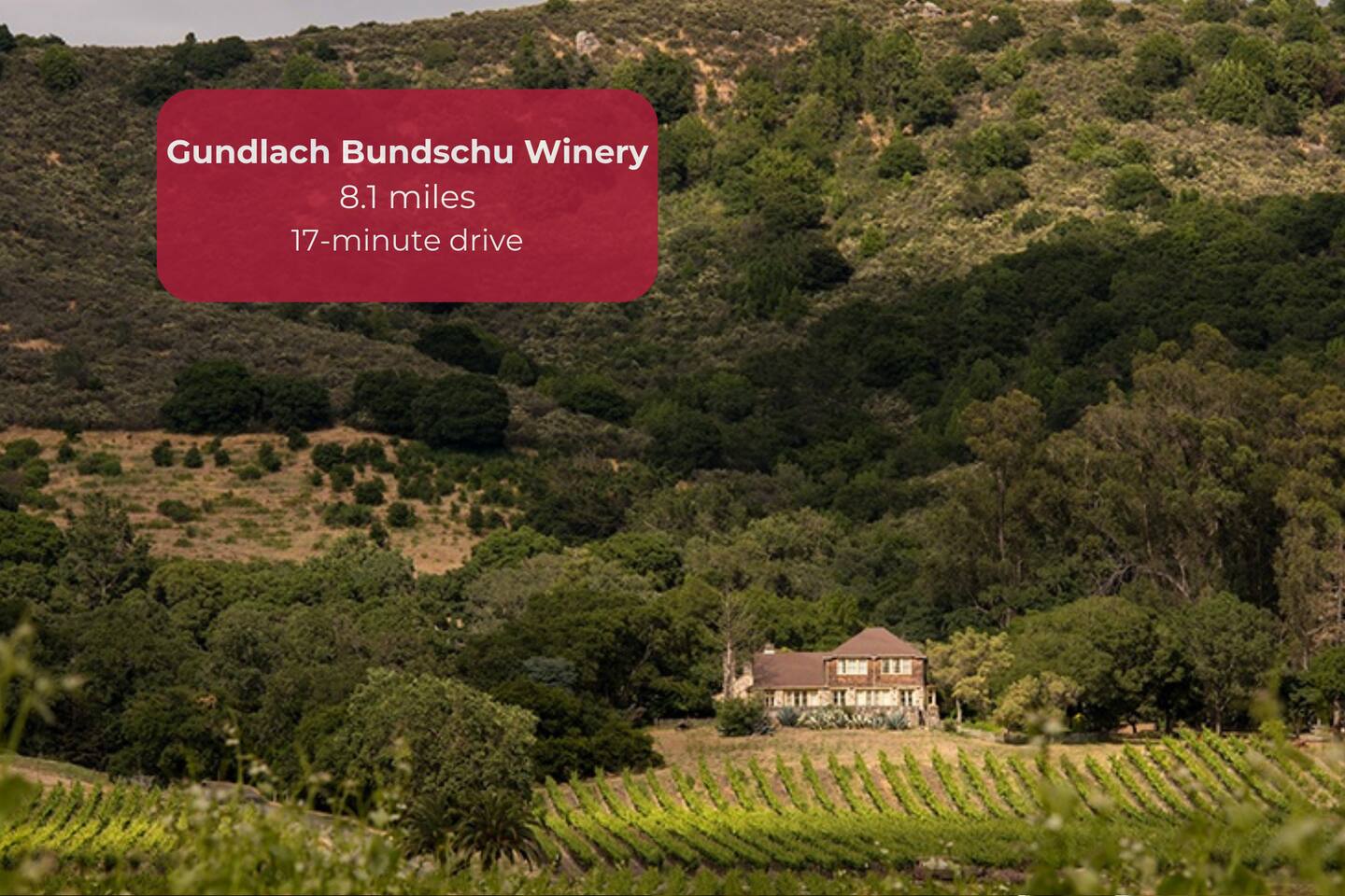 Six generations of winemaking in a stunning setting.