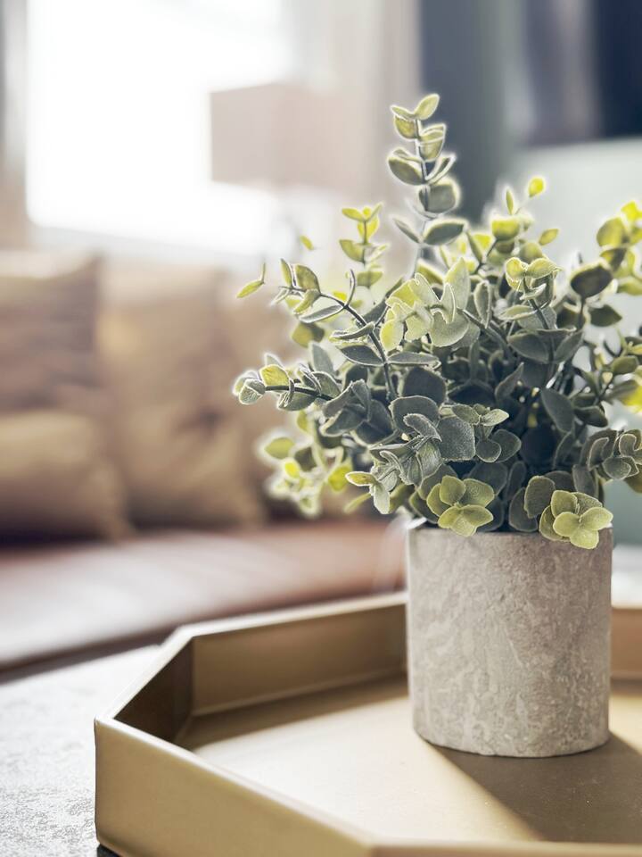 Chandler D | KING 1BD/1BA Apt near Downtown