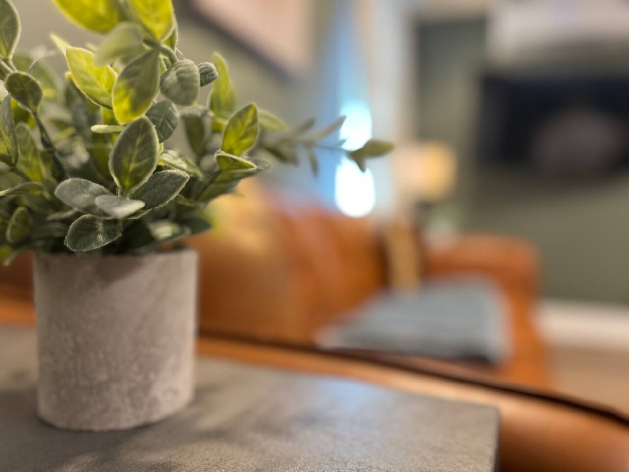 Chandler D | KING 1BD/1BA Apt near Downtown