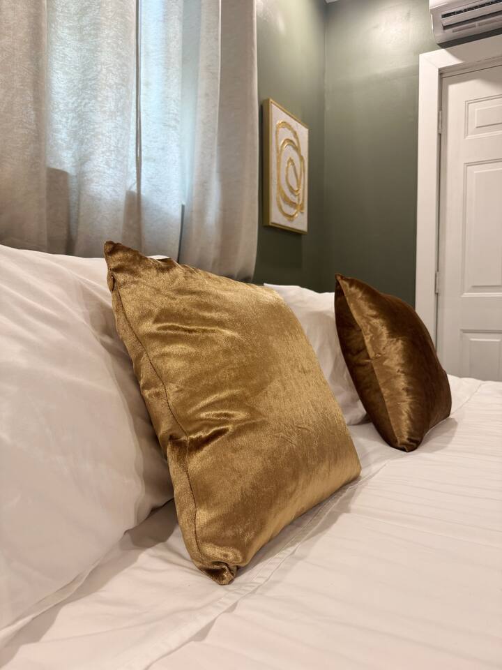 Chandler D | KING 1BD/1BA Apt near Downtown