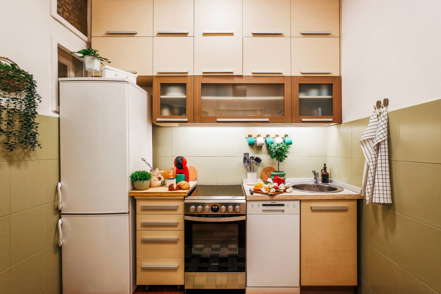 [Kitchen] Fully equipped kitchen with oven, fridge, dishwasher, cookware, and basic groceries