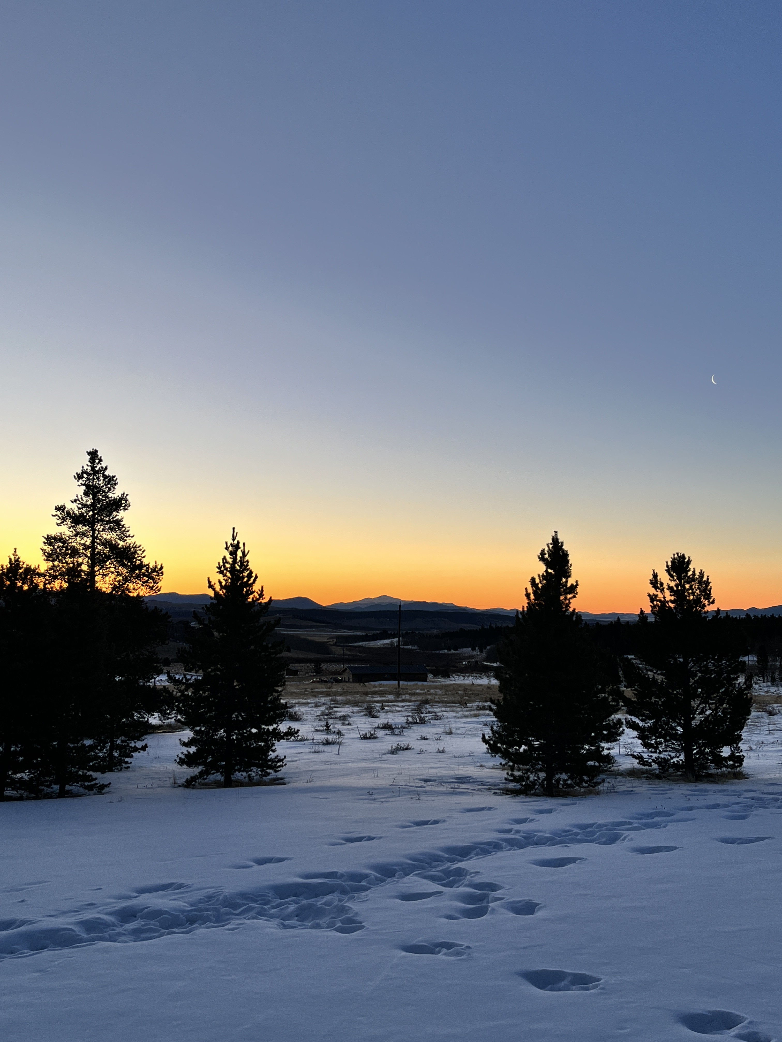 Peaceful snowy sunset with mountain views and serene pine-lined scenery
