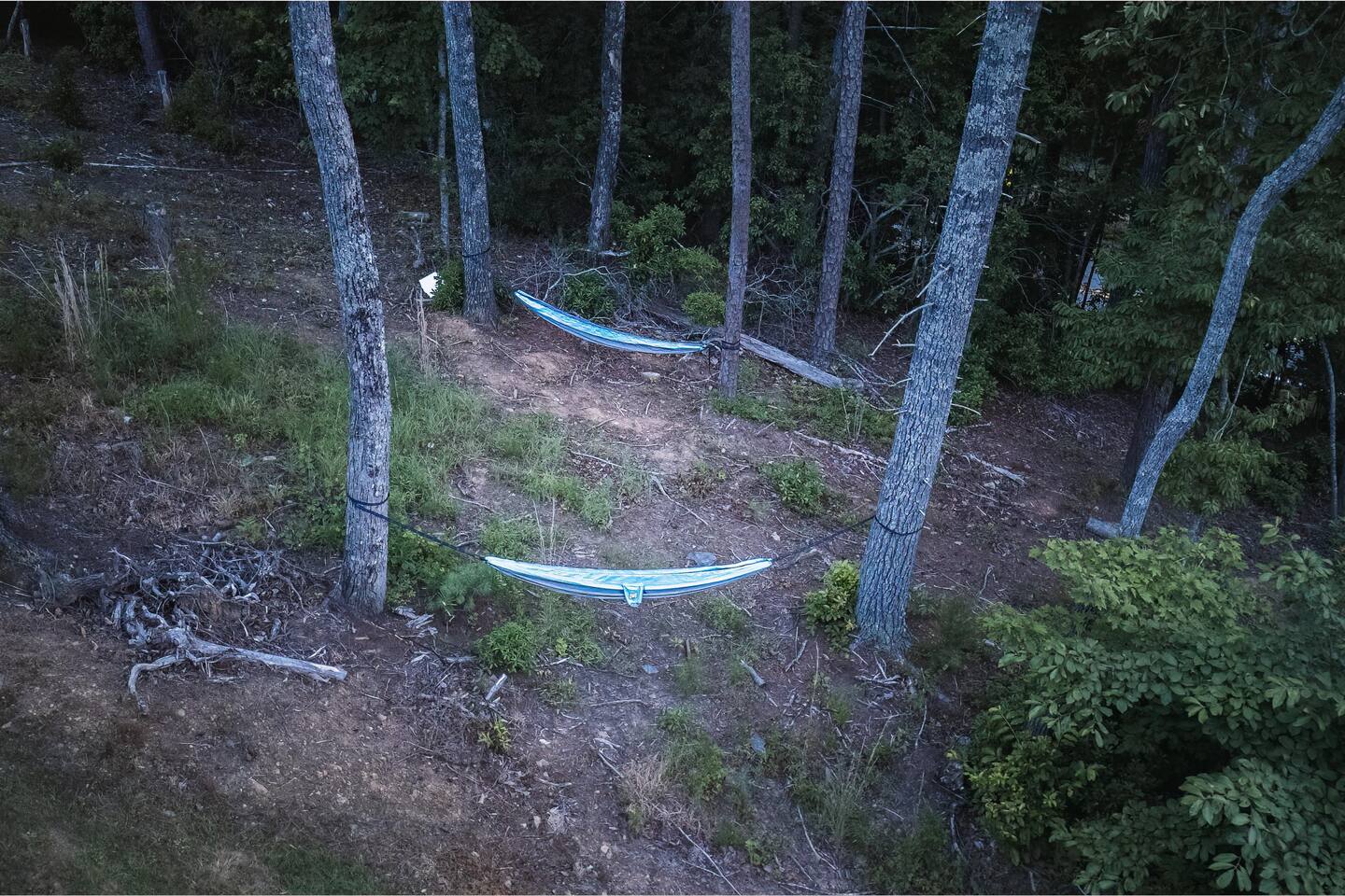 Hammocks available for use