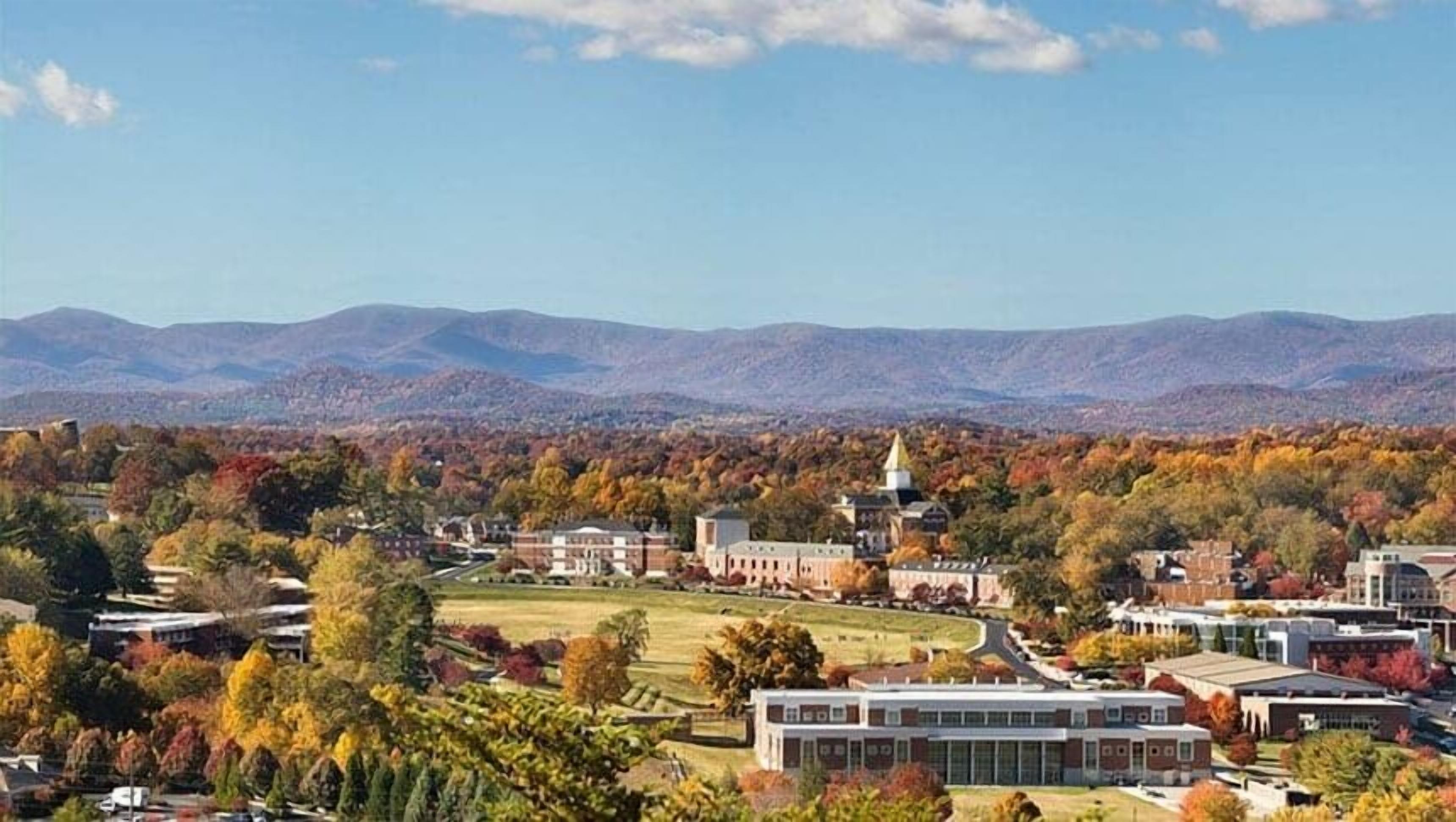 Dahlonega City - only 12 minutes away from the cabin