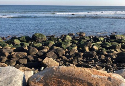 1136 Ocean