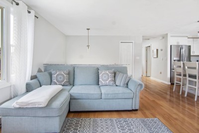 Top Floor Living Room Sofa (opens to Bed)