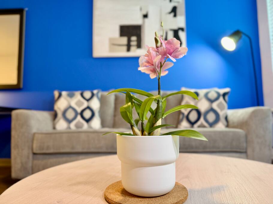 Prime King Bed Balcony Pool View Gym St Johns I95