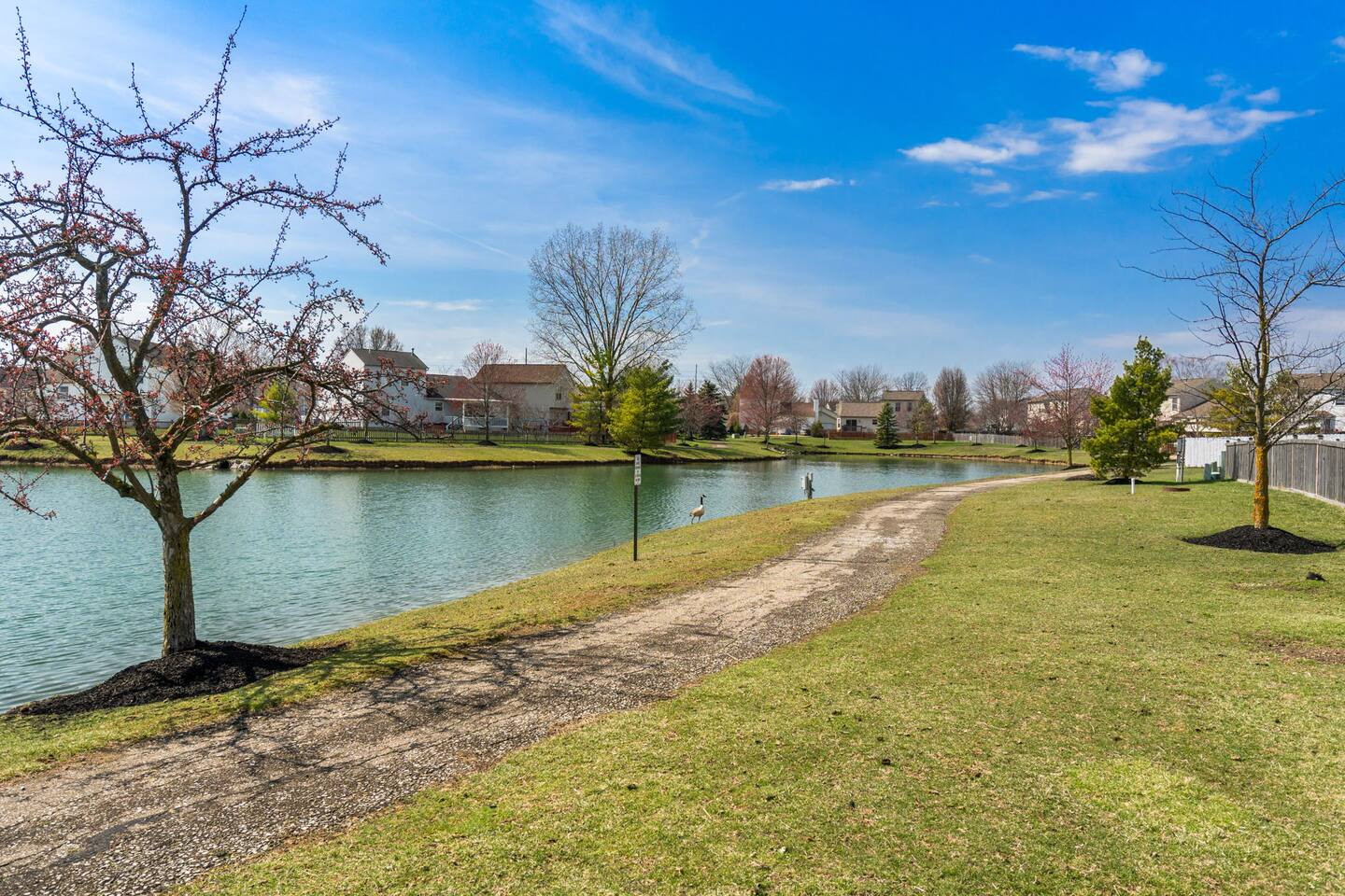 The Pond House photo 5