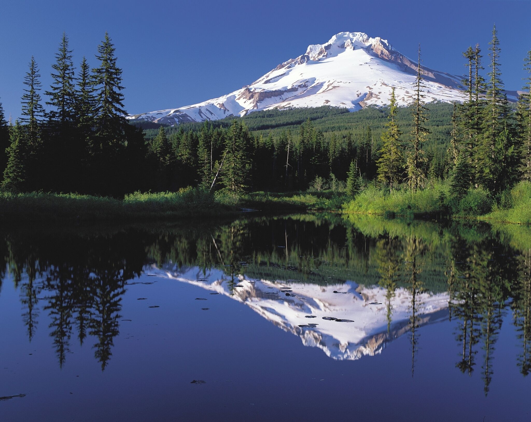 Scenic Mount Hood & Trillium Lake just minutes away.