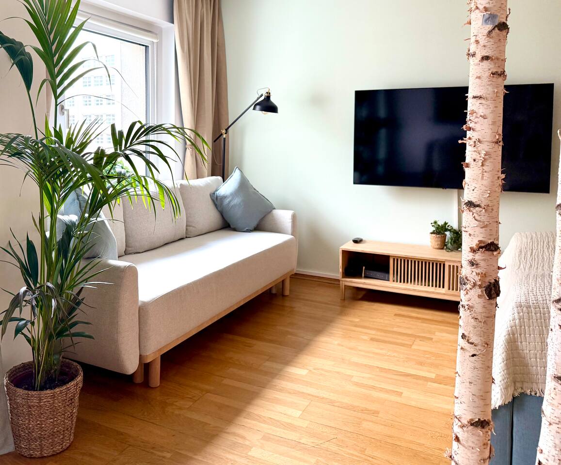 Großzügiges Studio-Apartment