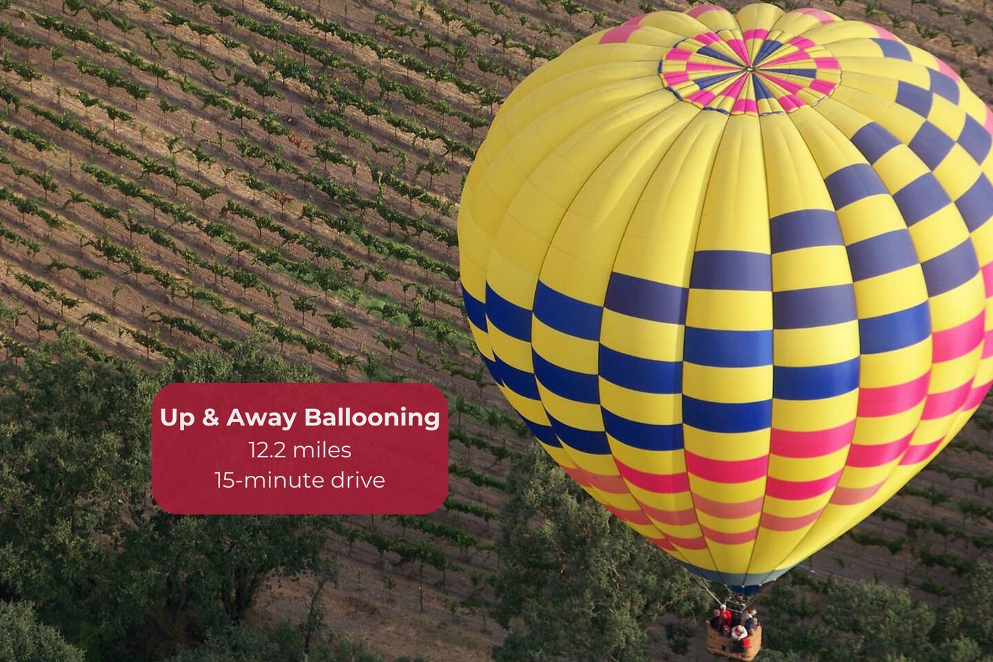 Soar above Wine Country at sunrise for unforgettable views and memories.