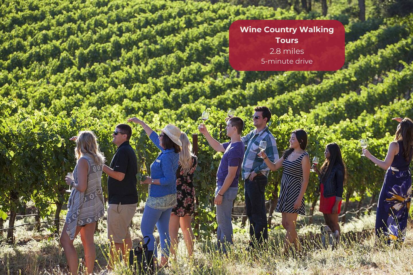 Explore Healdsburg’s hidden gems one sip and story at a time.