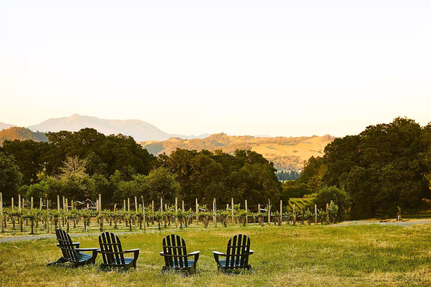 Golden hour hits different when this is your backdrop.