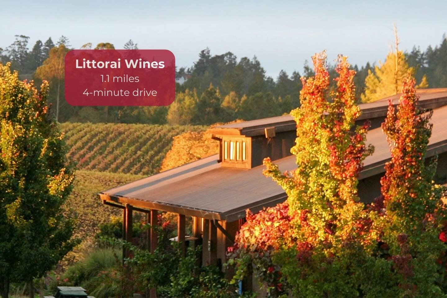 Enjoy an exclusive, by-appointment-only tasting of biodynamic Pinot Noir and Chardonnay in a peaceful vineyard setting, where elegance and craftsmanship shine.