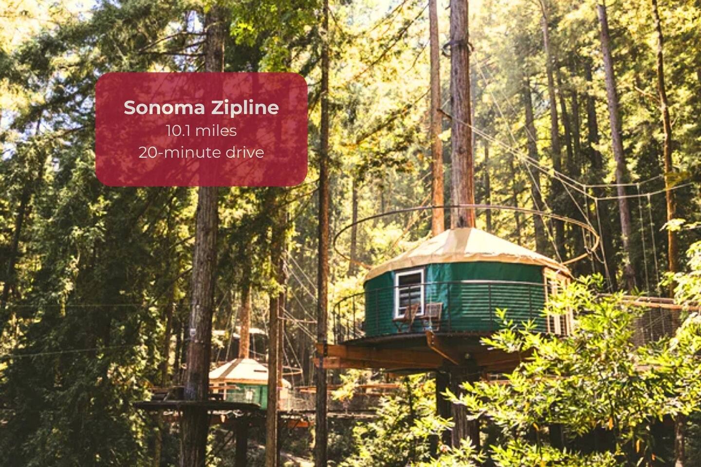 Glide through towering redwoods on a thrilling zipline course. Day or night, it’s an unforgettable ride.