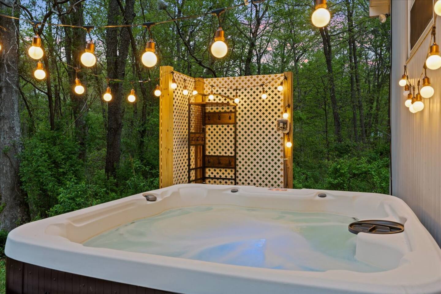 Stargaze from Hot Tub | Pet-Friendly Mtn Cabin