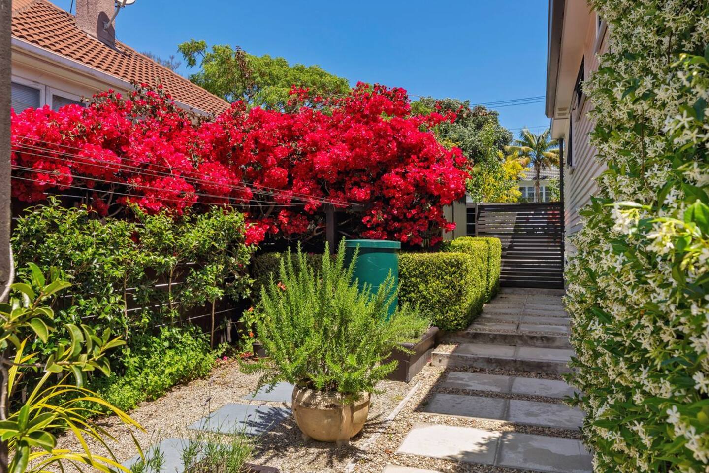 Cozy Studio close to CBD & Beach in westmere