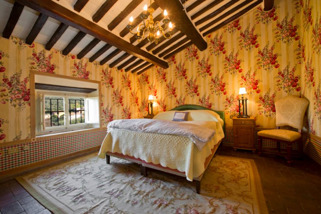 Double room in Historic Tuscan Villa with pool
