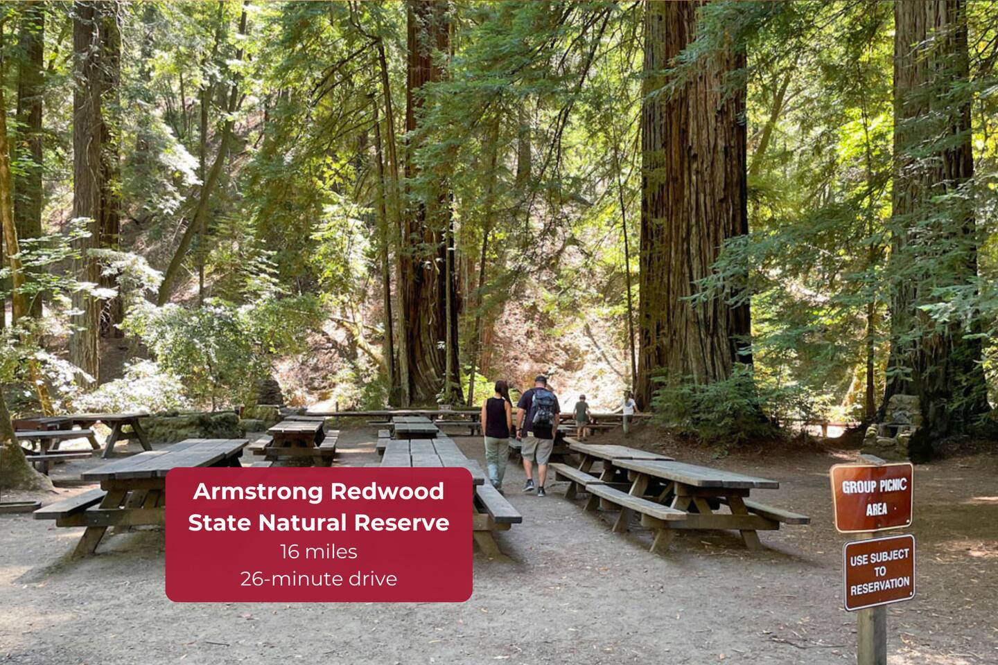 Walk among towering redwoods just minutes from town.