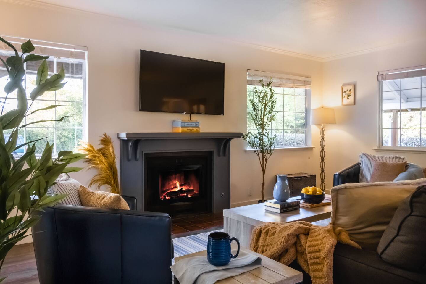 Cozy up by the fire and catch your favorite shows.